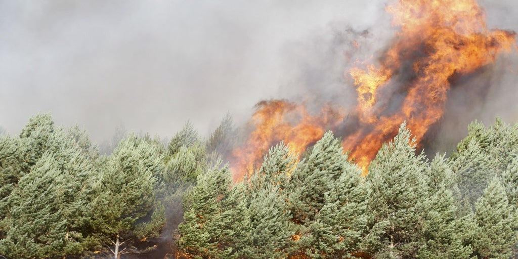 Los incendios no dan tregua: el avance de las llamas se recrudece en Orense y la situación es «extrema» en Castilla y León