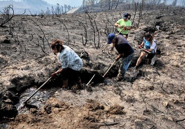 El fuego, sin tregua: «anómalo» y con pronóstico desfavorable en Castilla y León, Extremadura y Galicia