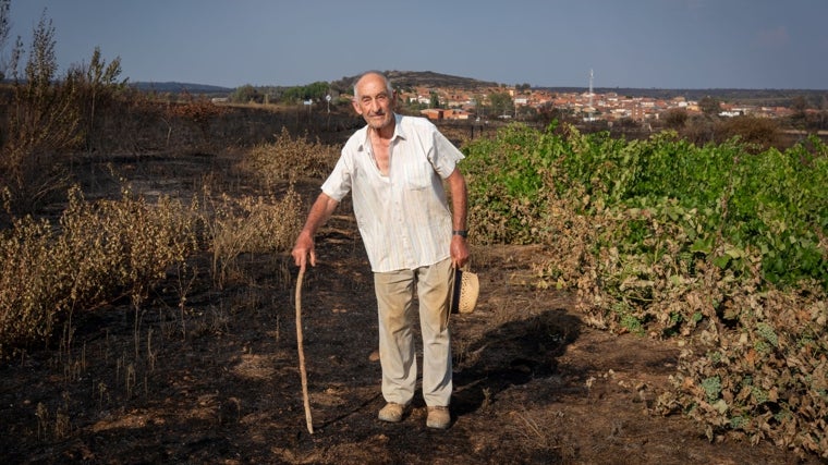 Plácido pasa revista a lo que queda de su viñedo
