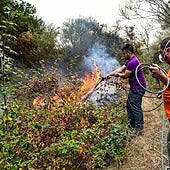 León contra las llamas: «Esto se muere y no hay forma de hacer nada»