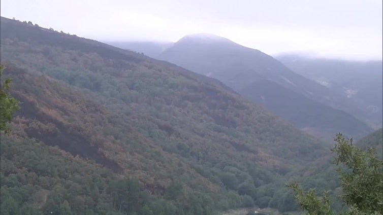 Imágenes de monte quemado en Chandrexa (Ourense)