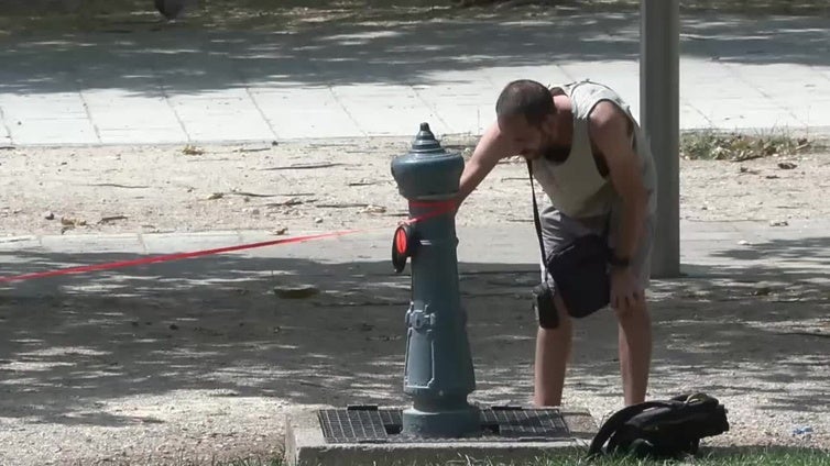 Fin de las temperaturas extremas que dejan al menos 23 muertos por golpes de calor