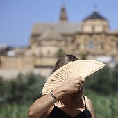 La tercera ola de calor más larga de la historia deja 1.149 muertes