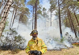 Javier Madrigal, experto en incendios forestales: «Lo que estamos viendo hoy son sesenta años de abandono rural»