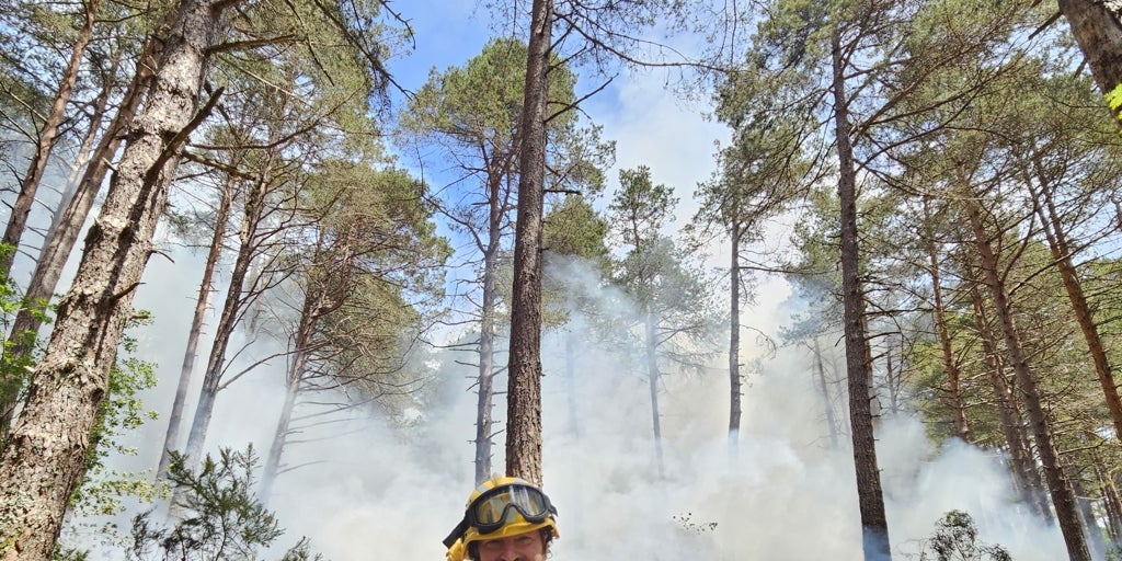 Javier Madrigal, experto en incendios forestales: «Lo que estamos viendo hoy son sesenta años de abandono rural»