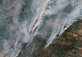 Las imágenes de los incendios en España desde el espacio