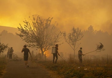 Estado y CC.AA. invierten un 50% menos en prevención de incendios que hace 13 años