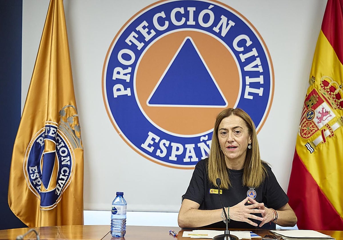 La directora general de Protección Civil y Emergencias, Virginia Barcones, ante los medios