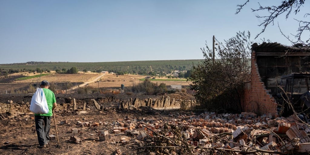 El 95% de las áreas quemadas no tienen seguro: «¿A mí quién me paga el bosque?»