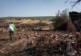 El 95% de las áreas quemadas no tienen seguro: «¿A mí quién me paga el bosque?»
