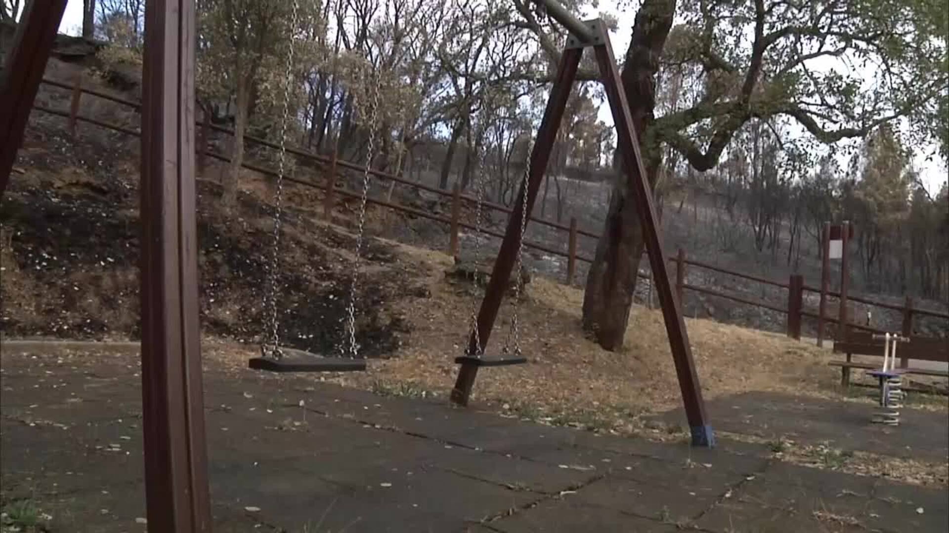 Ola de incendios: un verano bajo las llamas en España