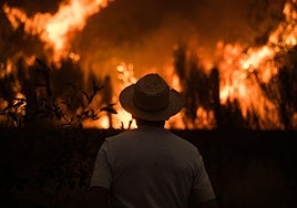 El agosto que calcinó España: el fuego arrasa una de cada 140 hectáreas del país