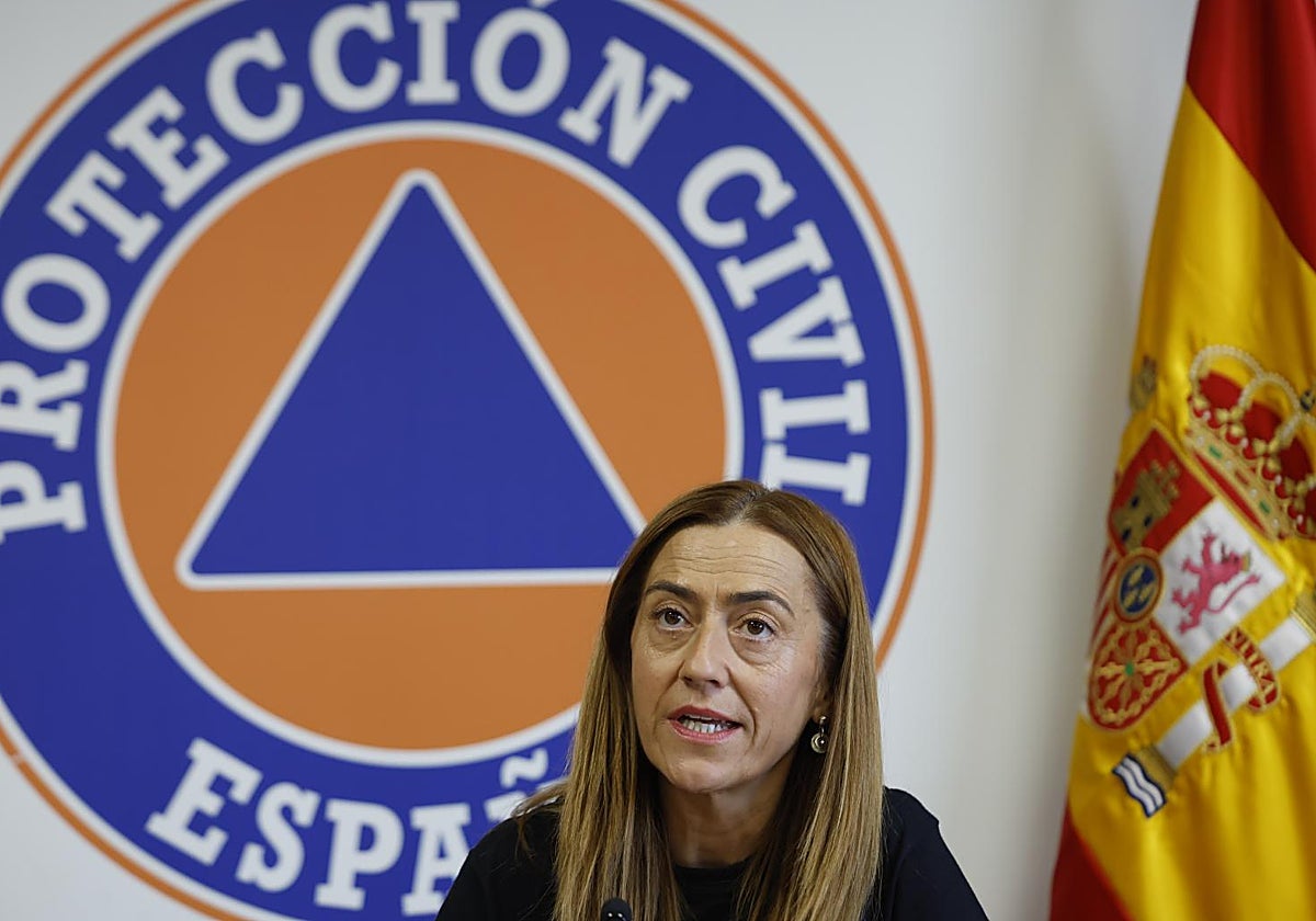 La directora general de Protección Civil, Virginia Barcones, comparece tras la reunión CECOD, este domingo