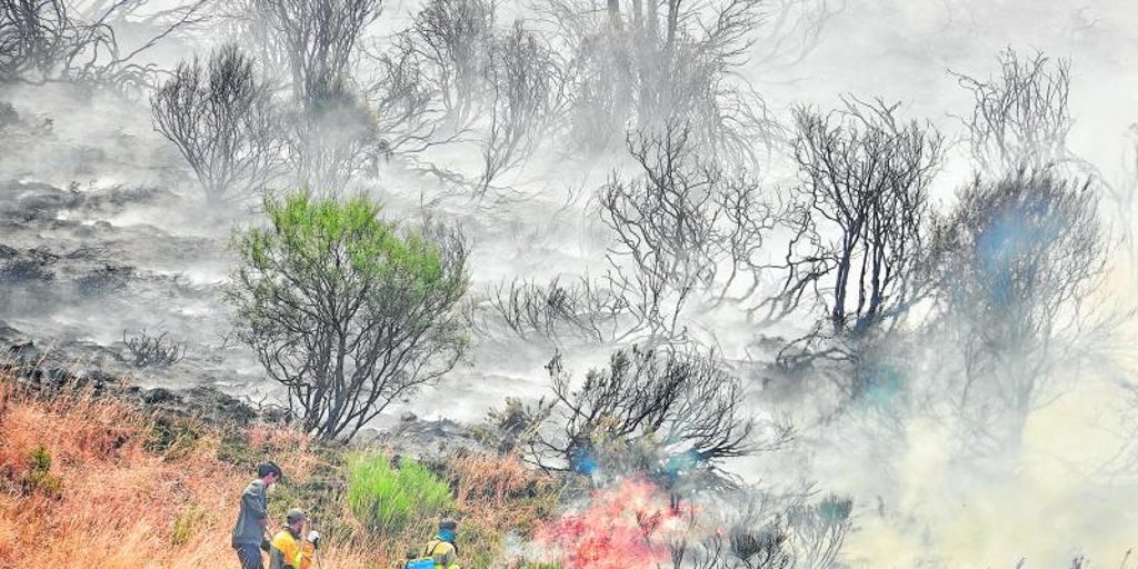 Incendios en Castilla y León y Galicia, en directo: fuegos activos y noticias del resto de España hoy