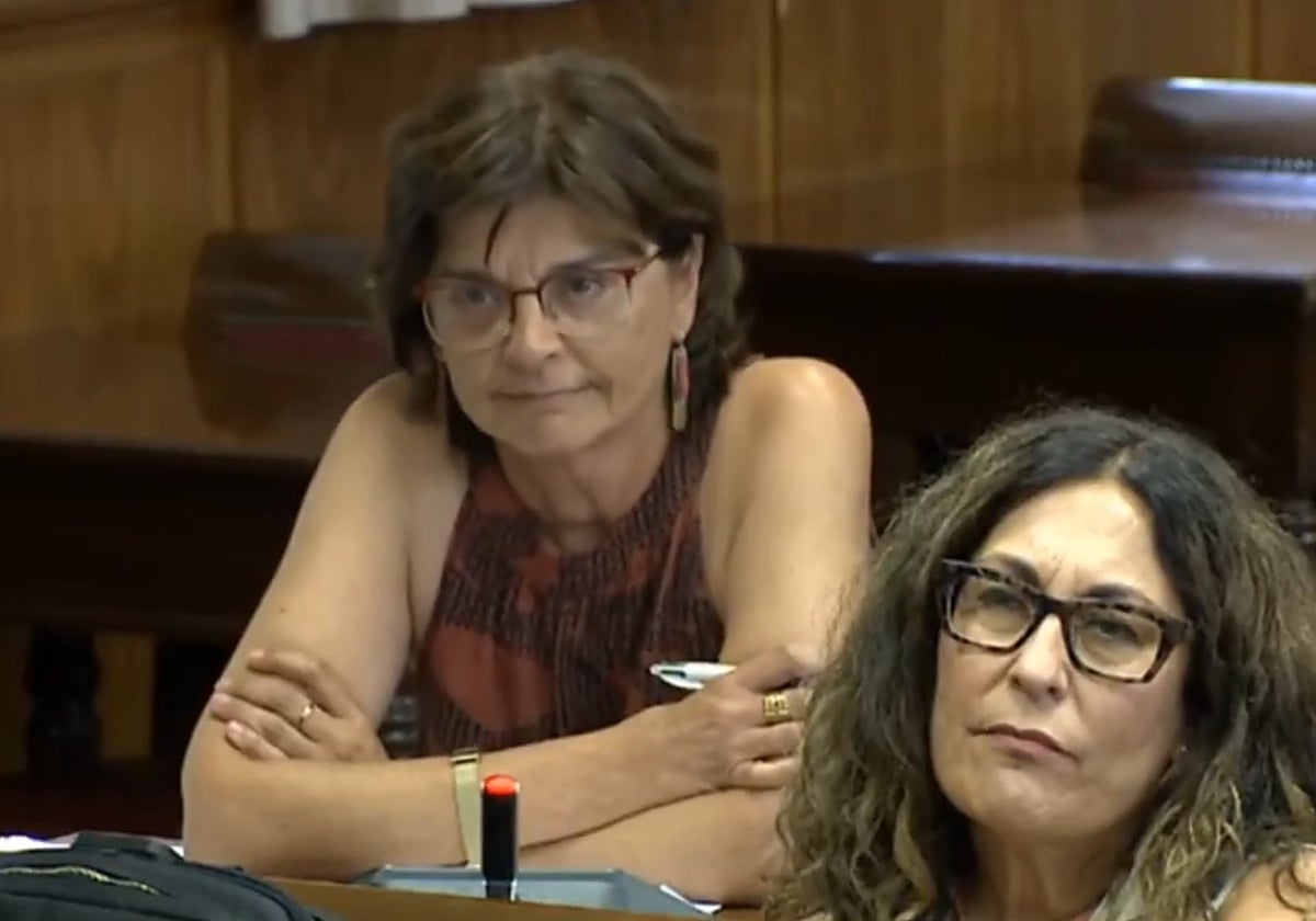 María Carmen Da Silva, senadora del BNG, en su reproche al Gobierno