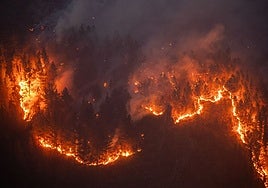Interior cifra en 56 los detenidos por incendios forestales este verano: «creen que nunca se les va a identificar, y eso les anima a repetir»