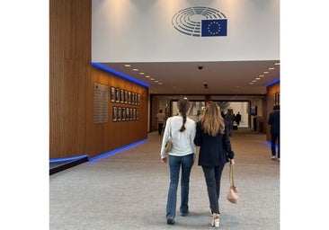 El Gobierno «discrimina» a los alumnos de las Escuelas Europeas en el acceso a la universidad