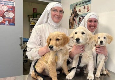 Las exclarisas de Belorado denuncian el intento de envenenar a sus perros