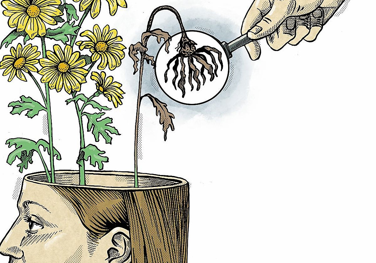 Investigadores detectan sesgos en sus propios estudios: «El problema de la salud mental en jóvenes no es tan alarmante como lo hemos pintado»