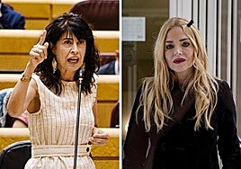 Ángeles Carmona: «La ministra de Igualdad miente. Les enviamos durante meses todas las quejas que había respecto a las pulseras»