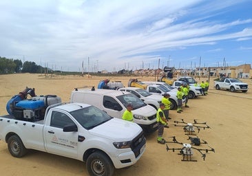 Drones, coches con cañones y 200 trampas: así frena Andalucía el virus del Nilo