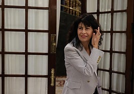 El PP organiza una reunión en el Senado para tratar la polémica de las pulseras antimaltrato