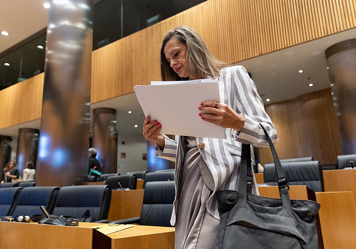 La delegada del Gobierno contra la Violencia de Género, Carmen Martínez Perza, comparece ante la Comisión de seguimiento y evaluación de los acuerdos del Pacto de Estado en materia de Violencia de Género, en el Congreso, comparece para abordar los fallos detectados en el funcionamiento de las pulseras telemáticas destinadas al control de maltratadores