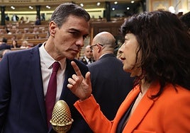 El Gobierno pretende incluir el aborto como derecho en la Constitución