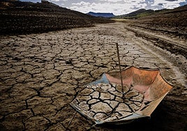 España afronta 51 riesgos climáticos clave que amenazan la salud, la economía y la biodiversidad