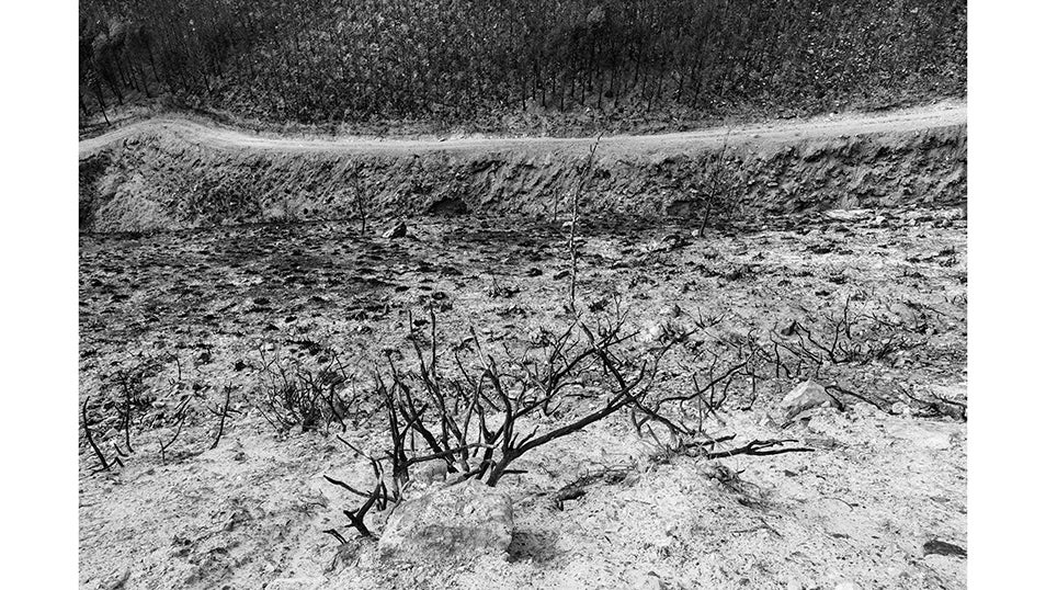 Donde antes hubo un bosque ahora solo queda ceniza. Paisaje de cómo dejó los valles de San Martín de Valdehorras el incendio que asoló la provincia de Ourense el pasado mes de Agosto. 