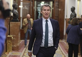 El Congreso aprueba tramitar una ley del PP para deducir 600 euros a los celíacos