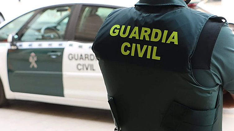 Investigan a un vecino de Murcia por tener seis tortugas protegidas en el jardín de su casa