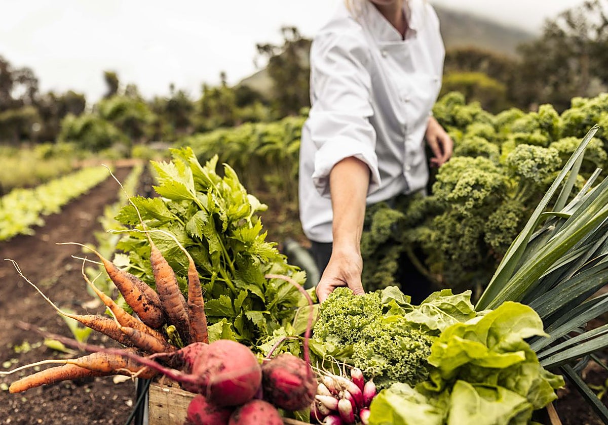 EXPO SAGRIS celebra su primera edición en IFEMA MADRID, con una destacada vocación divulgativa