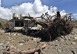 Al menos medio centenar de muertos por el huracán Melissa a su paso por el Caribe