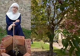 Las exmonjas de Belorado piden 50 euros para apadrinar un árbol y apoyarlas «en su difícil situación económica»