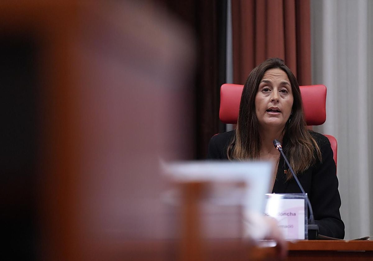 La consejera Esther Niubó en una comparecencia en el Parlament