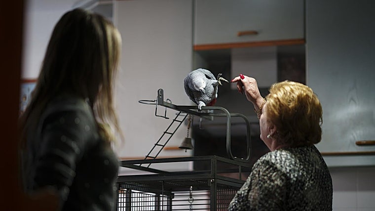 Dori y Kiko jugando en la cocina, donde está su jaula