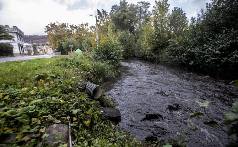 Main image – In the Valdeorras (Ourense) region, some rivers shine with an oily, tar-like sheen due to mountain ash burned this summer.