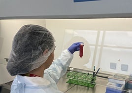 Método pionero para detectar la endometriosis en sangre menstrual : «Reduce de años a semanas la llegada del diagnóstico»