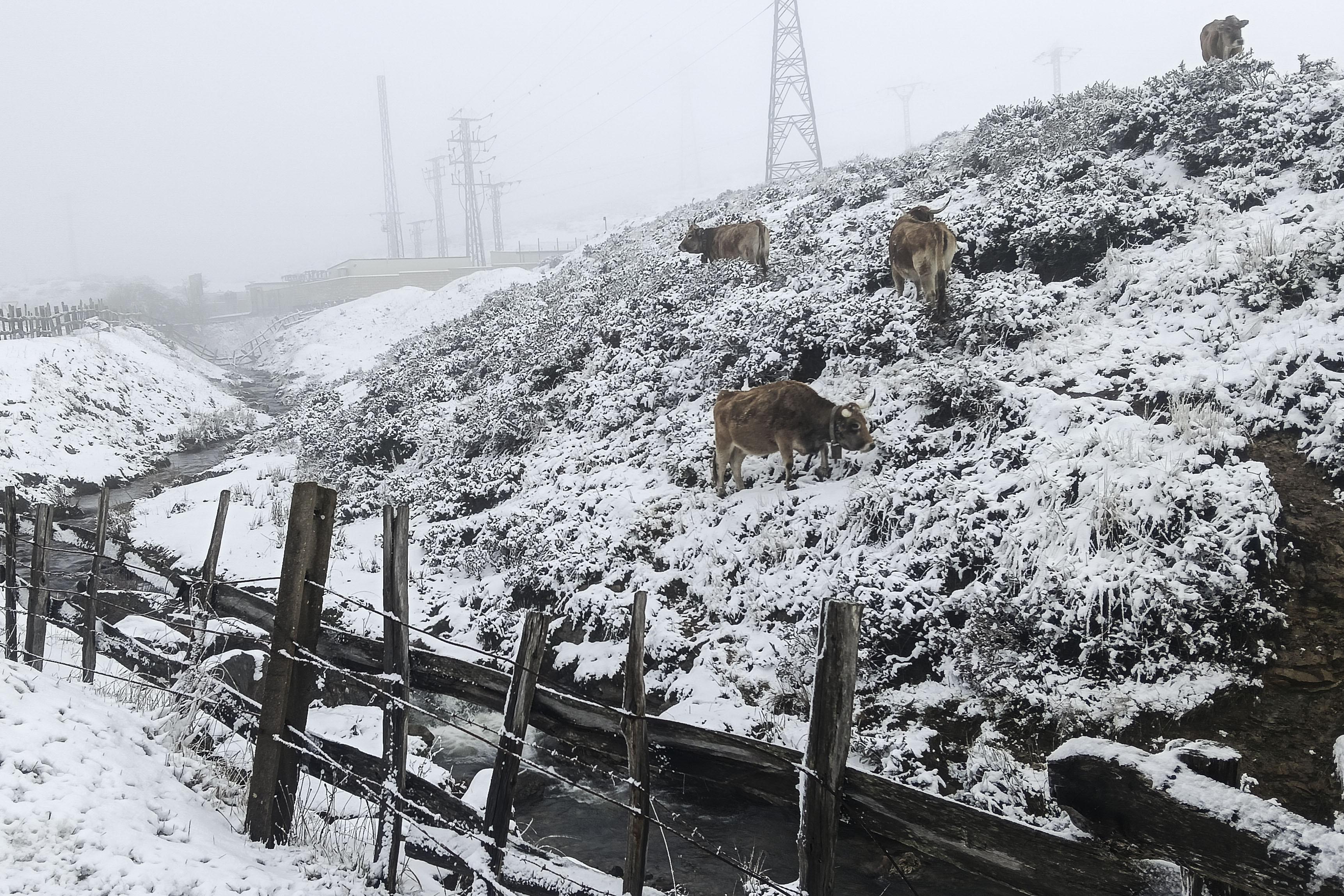 Vista de la nieve caída en Puerto de Pajares en la N-630, una de las principales carreteras en alerta en la localidad de Pajares, Asturias