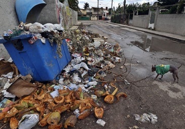 Cuba se hunde en una crisis sanitaria sin precedentes por una ola de infecciones transmitidas por mosquitos que arrasa la isla