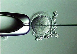 La OMS pide políticas públicas contra la infertilidad: «Es uno de los desafíos  más ignorados de nuestro tiempo»