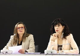 Hay 2,7 millones de mujeres que han sufrido violencia física o sexual de su pareja, según Igualdad
