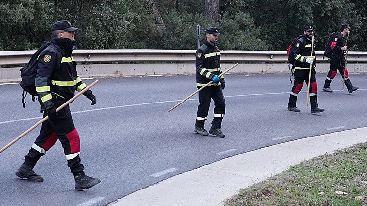 La AP-7, la vía de máximo riesgo para la expansión de la peste porcina africana