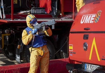Agricultura investiga si el brote de peste porcina de Barcelona salió de un laboratorio