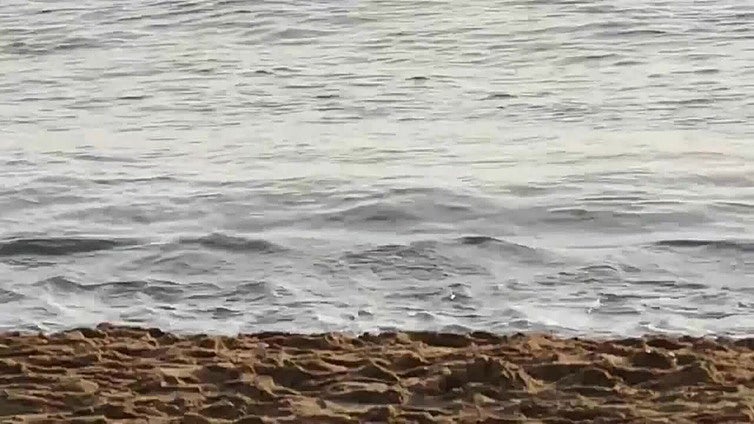 Barcelona amanece con sol y un día radiante en el primer domingo de diciembre