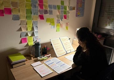 El «desastre» del MIR de este año: «El ministerio ha improvisado y quita prestigio al examen»