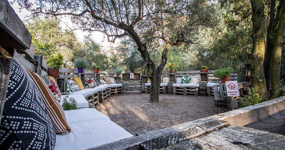 Uno de los espacio rodeado de olivos