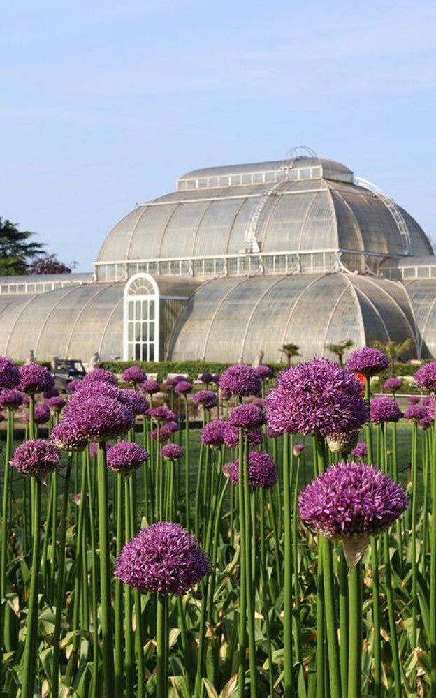 Los jardines Kew han servido de escenario para la serie de Netflix.