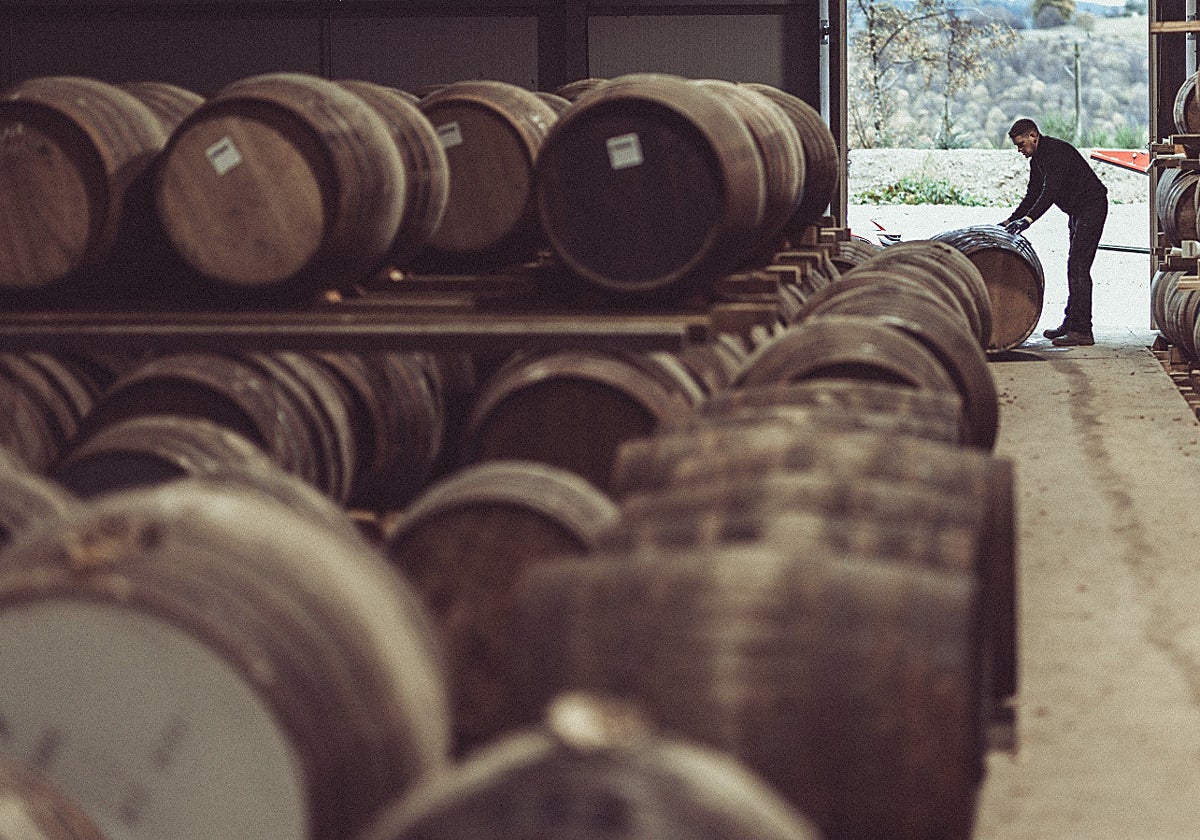 Una barrica de whisky Macallan vendida por medio millón de euros